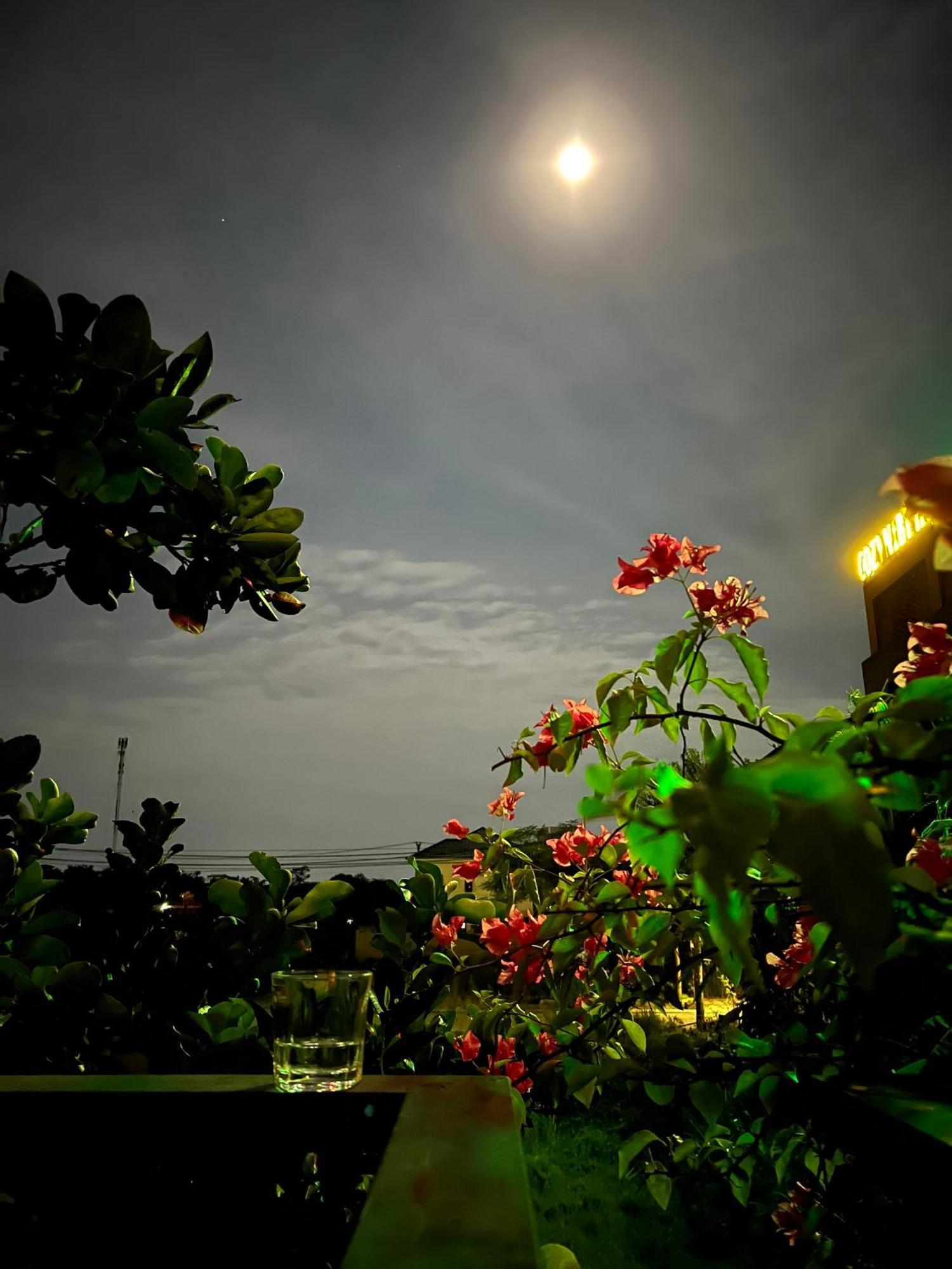 Tam Coc Golden Sun Villa Vu Lam Zewnętrze zdjęcie